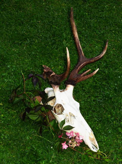 Zaujímavý v sezóne 2021