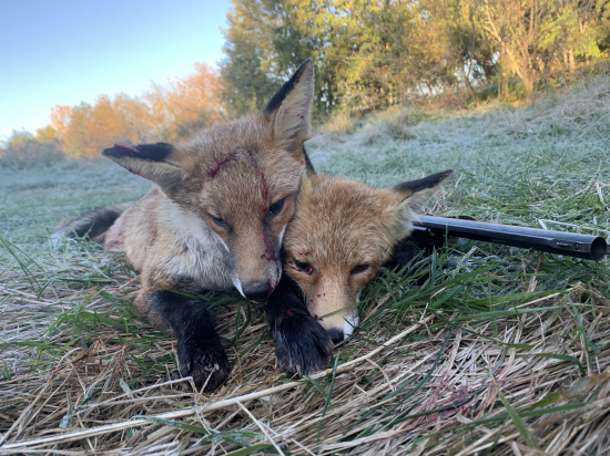 Prvé tohtoročné mrazivé ráno