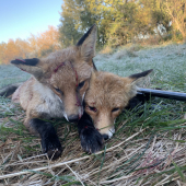 Prvé tohtoročné mrazivé ráno