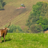 Kontrola orby :)