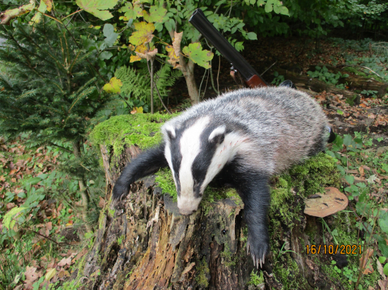 Přichází jejich čas