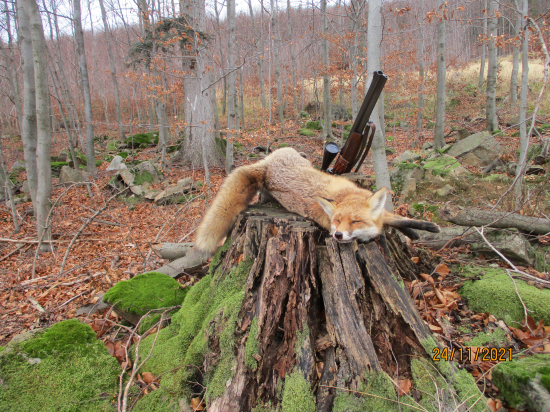 Podzimní č.26 a třicátá v mysliveckém roce