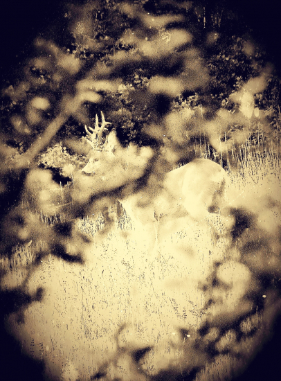 Mám Ťa v retro hľadáčiku