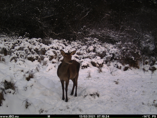 Uz nech vykukne slnko