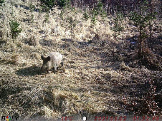 Čochvíľa zhodárov popreháňa