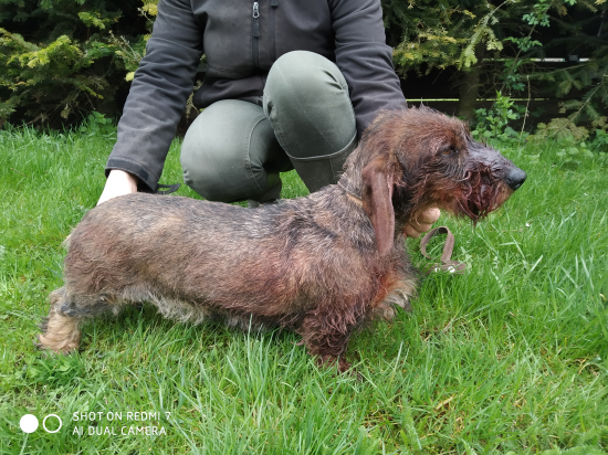 Konečne opäť trénujeme..