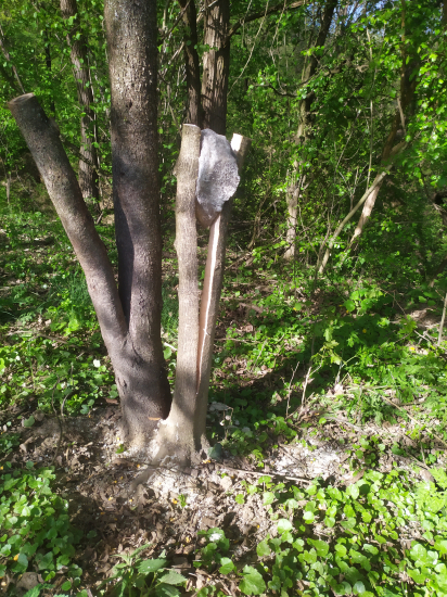 Pointa v jednoduchosti.