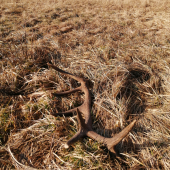 14torak. 2.40kg.