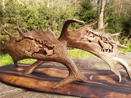 Rezba do danielich zhodov