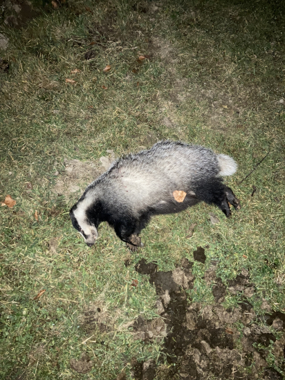 Začiatok novembrového splnu