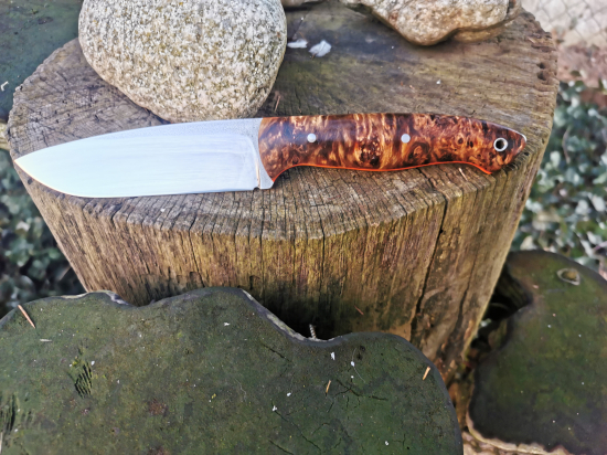 Elmax a stabilizovany gaštan