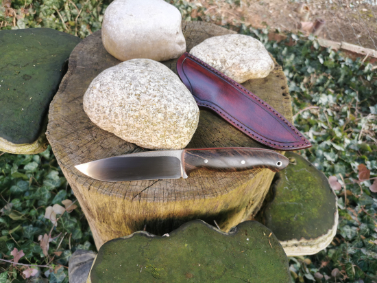 Elmax a stabilizovana Limba.