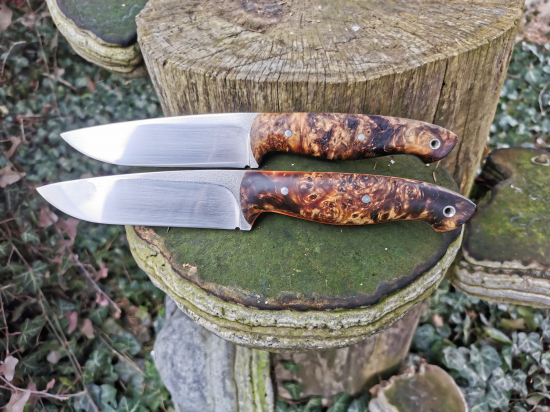 Dvaja bratia z Elmax a stabilizovany gaštan