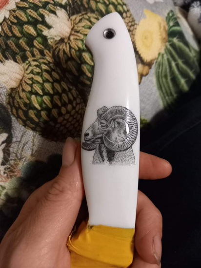 Scrimshaw  muflona na mojom nozi
