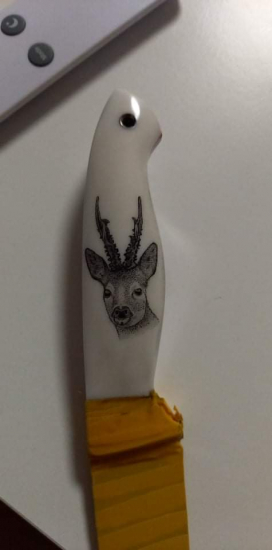 Scrimshaw  srnca na mojom nozi