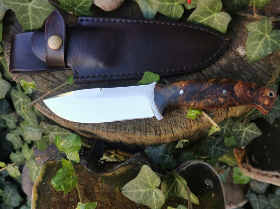 Elmax a stabilizovany gaštan