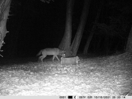 Nečakaná kontrola :o)