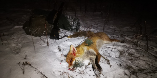 A opäť šťastie...