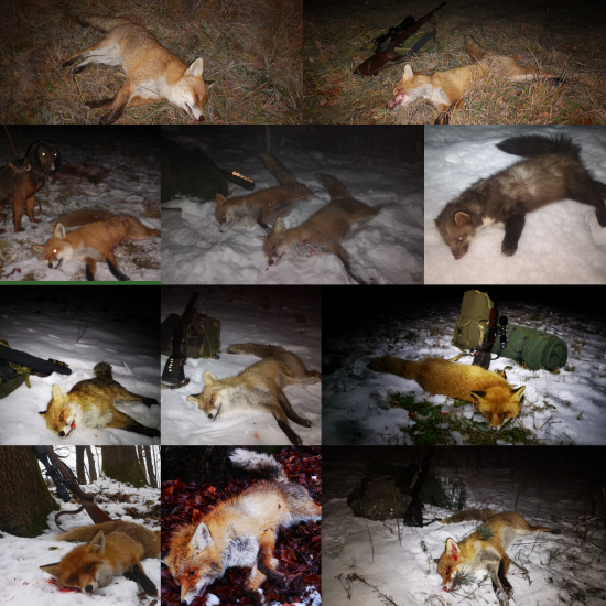 Pre túto sezónu koniec..