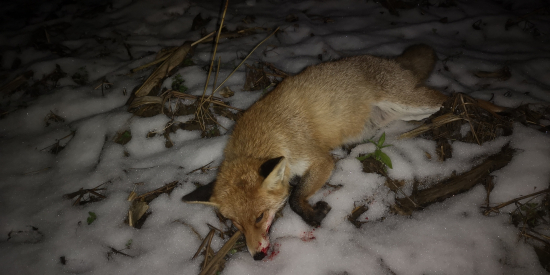 Druhá kmotrička...