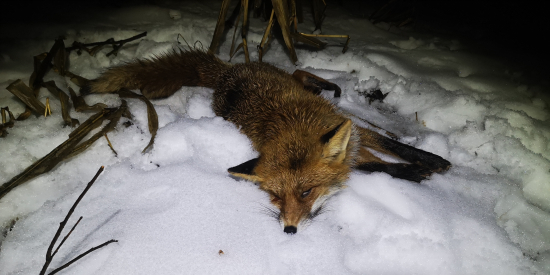 Posledný v roku 2021..