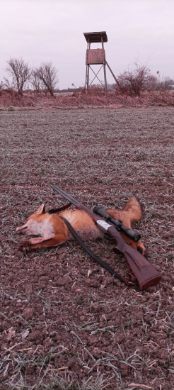 Predvianočné ráno