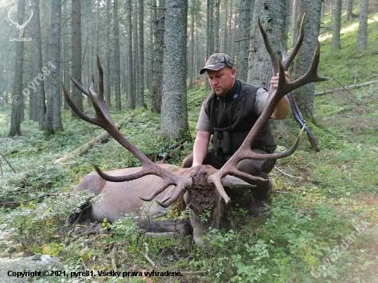 Sen sa stal skutočnosťou