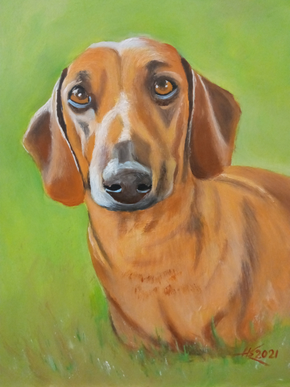 Portrét jazvečíka