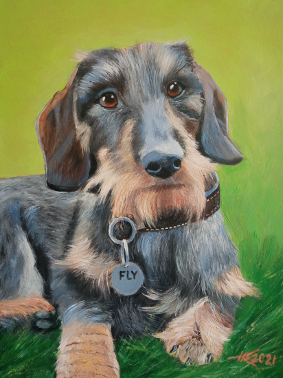 Portrét jazvečíka