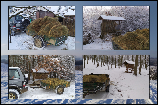 kus som odviezol ...