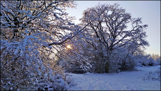 podvečer v zime ...