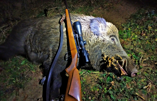 Diviačik .. ešte z jesene ...