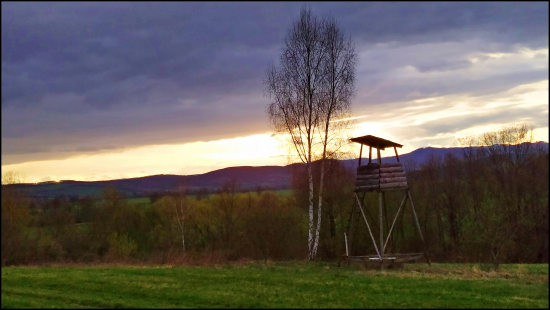 podvečer pri posede ...