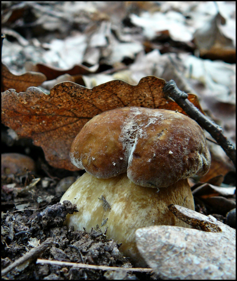 za chvíľu to začne ...