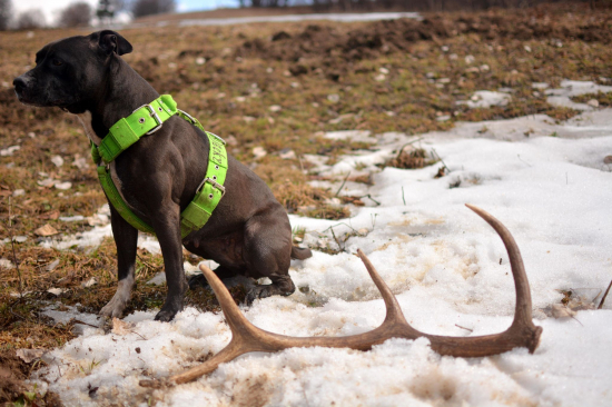 dzeky zasa uspesne..