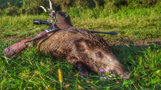Slnečné septembrové ráno