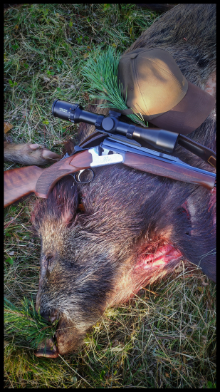 Zo spoločnej poľovačky