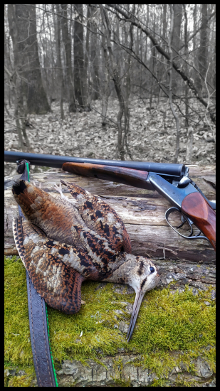 Západ slnka a silueta sluky