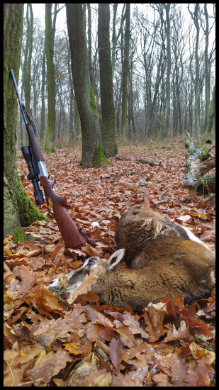 Nenasneží a nenasneží