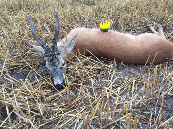 Striebro z východu Maďarska