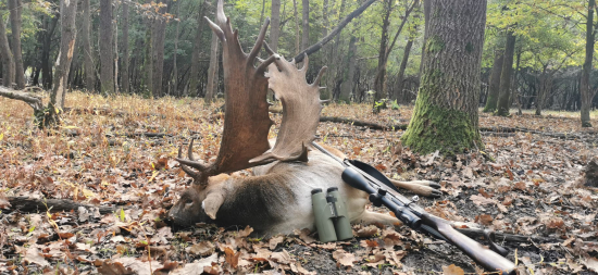 Super daniel z Bockereku