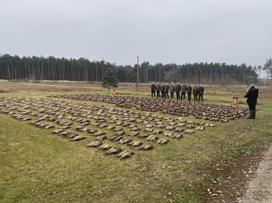 Židlochovice - I. deň