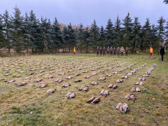 Židlochovice - II. deň