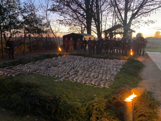 Na zajacoch v Diakovciach