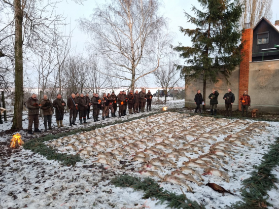 Na zajacoch v Tešedíkove