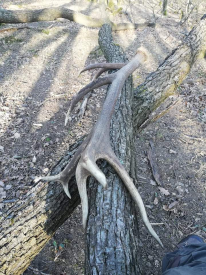 Kamaratova vychodena 16 tka.