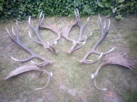 Najlepsie zo sezony ...