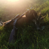 Nádherné zlaté skoré ráno