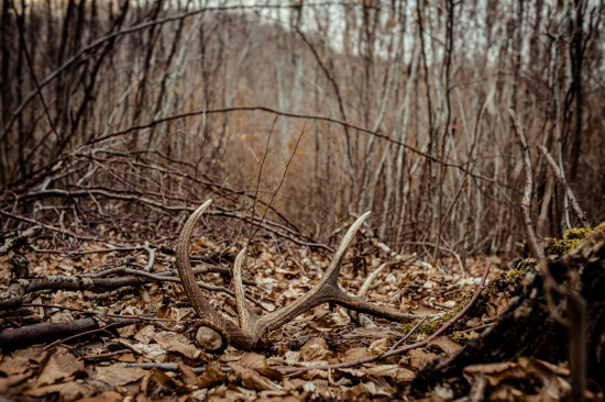 taký fajnový pohľad :)
