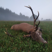 A ráno ostalo tiché